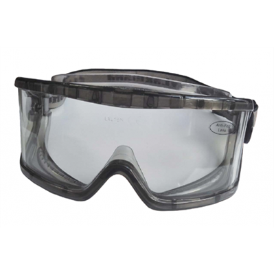 Lakeland G1580 Safety Goggle